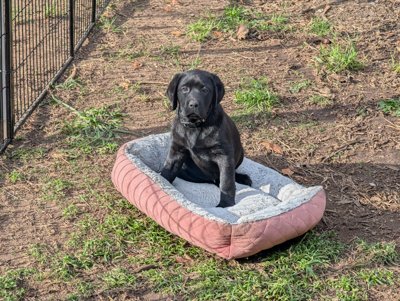 Mellow - Mar 2026 thumbnail