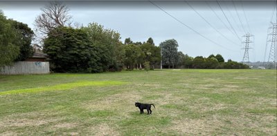 6 Apr, 2026 thumbnail