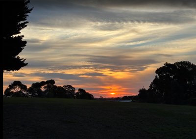 Mellow is four months old! thumbnail