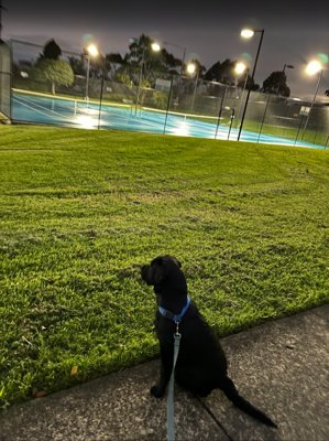 Mellow enjoys watching tennis thumbnail